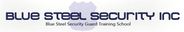 Blue Steel Security logo